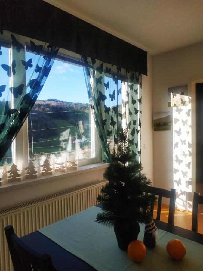 Apartmaji Sofia Марибор Экстерьер фото