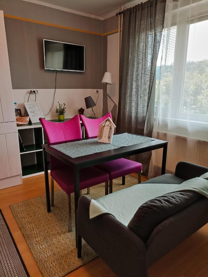 Apartmaji Sofia Марибор Экстерьер фото